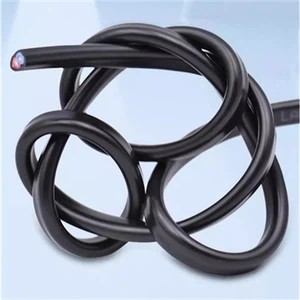 Type of power cord plug