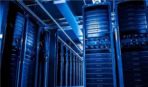 How do I choose between a fiber optic cable and a network cable?