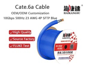 HKS CAT6A SFTP Cable: The Solid Foundation for Next-Generation Networks