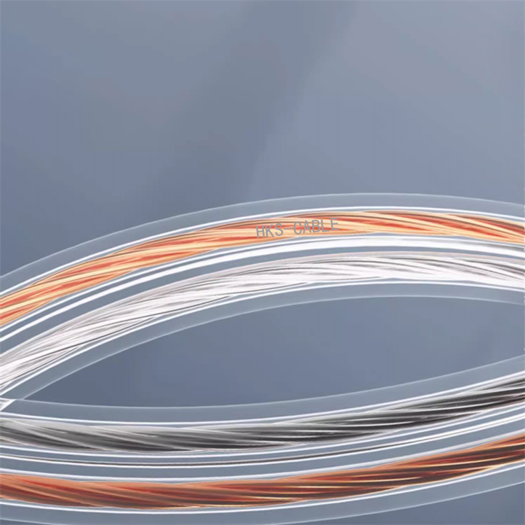 Gold and Silver Speaker Wire